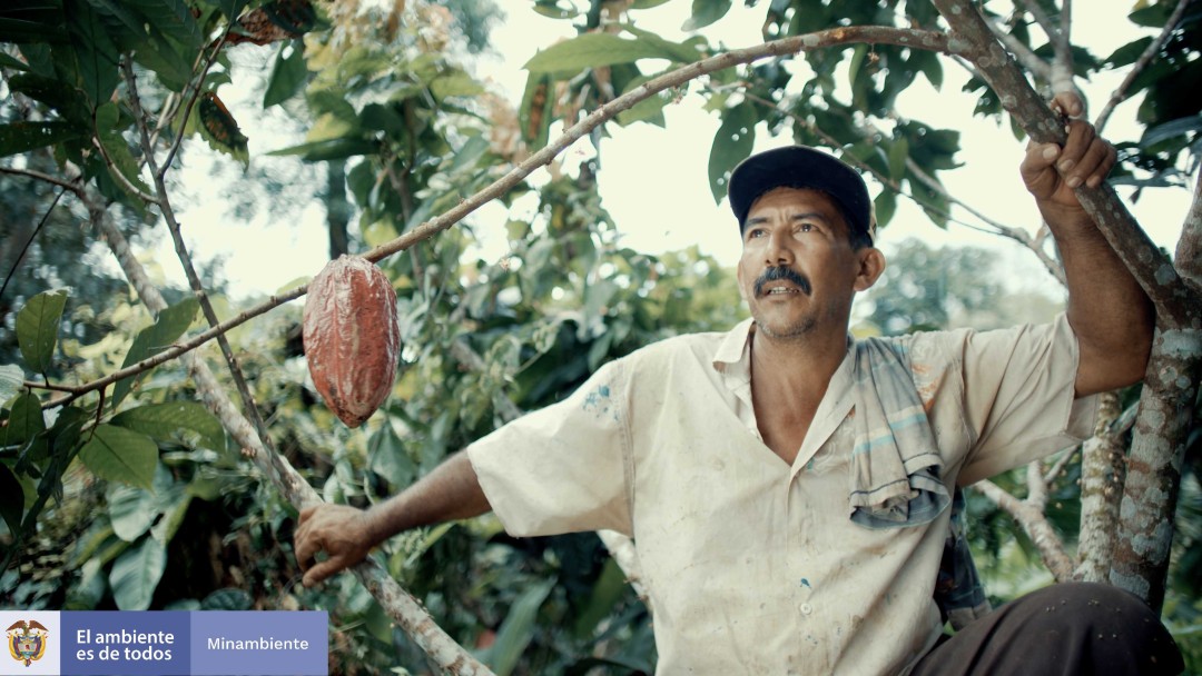 Landwirt Don Albino sitzt vor einem seiner Kakaobäume 