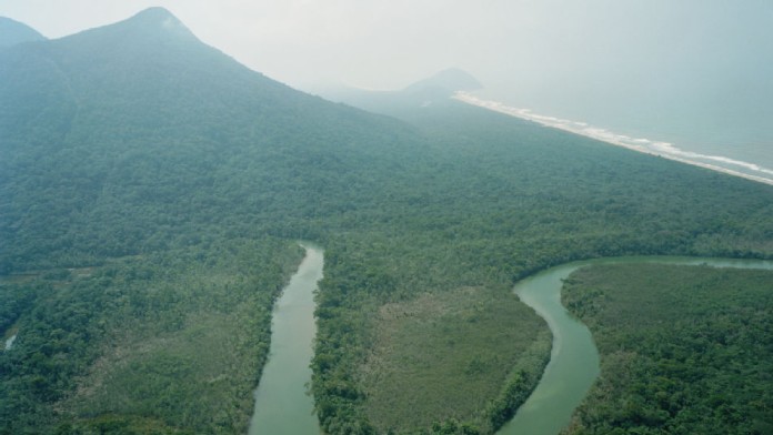 Tropischer Küstenwald mit einem Fluss und dem Meer