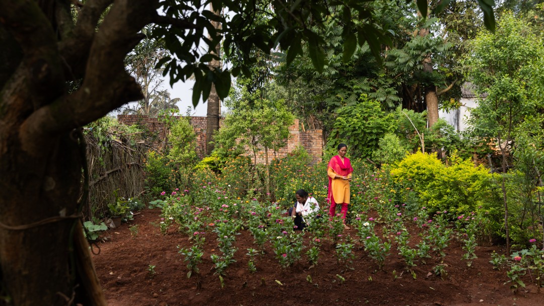 Two people working in the garden