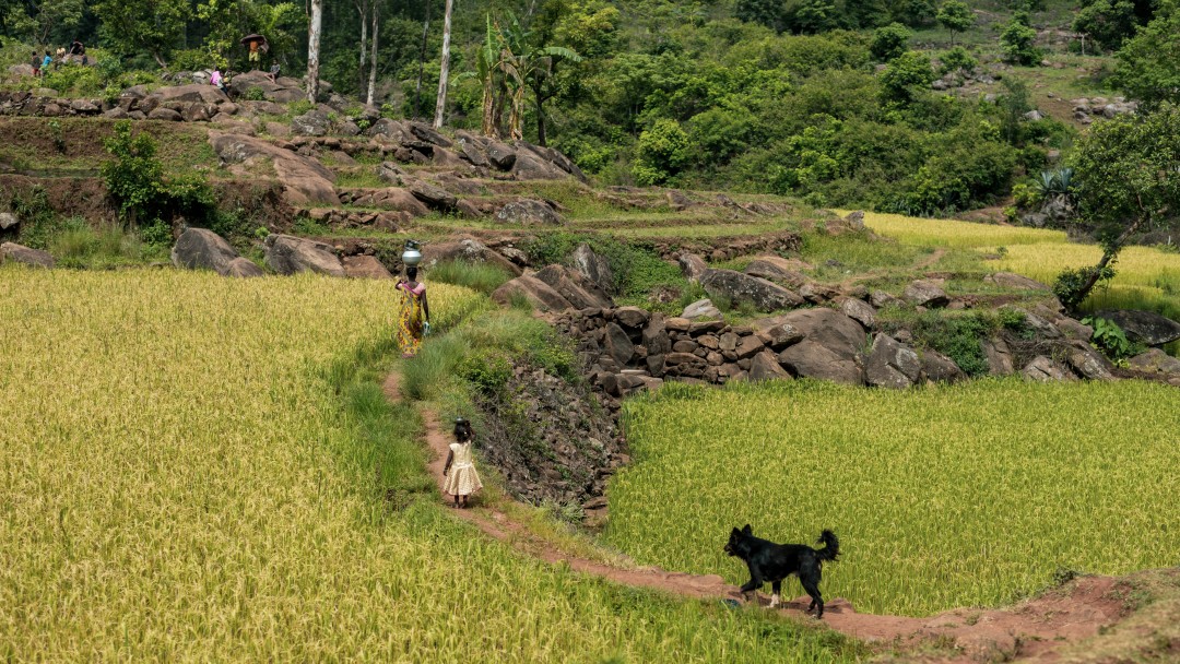 Children and adults on terrace fields