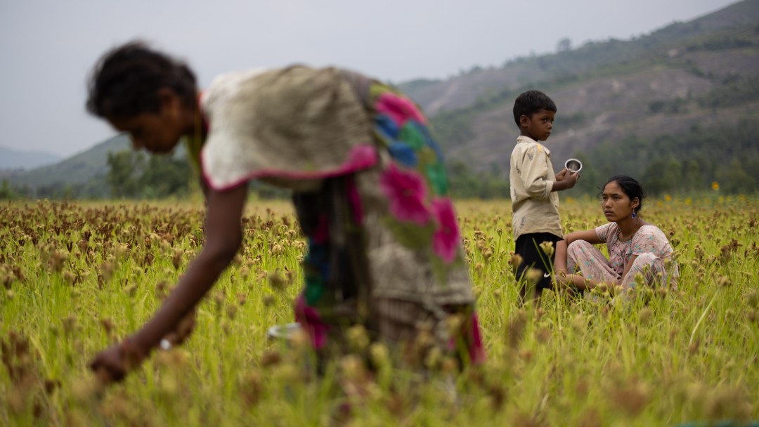 Workers on a field