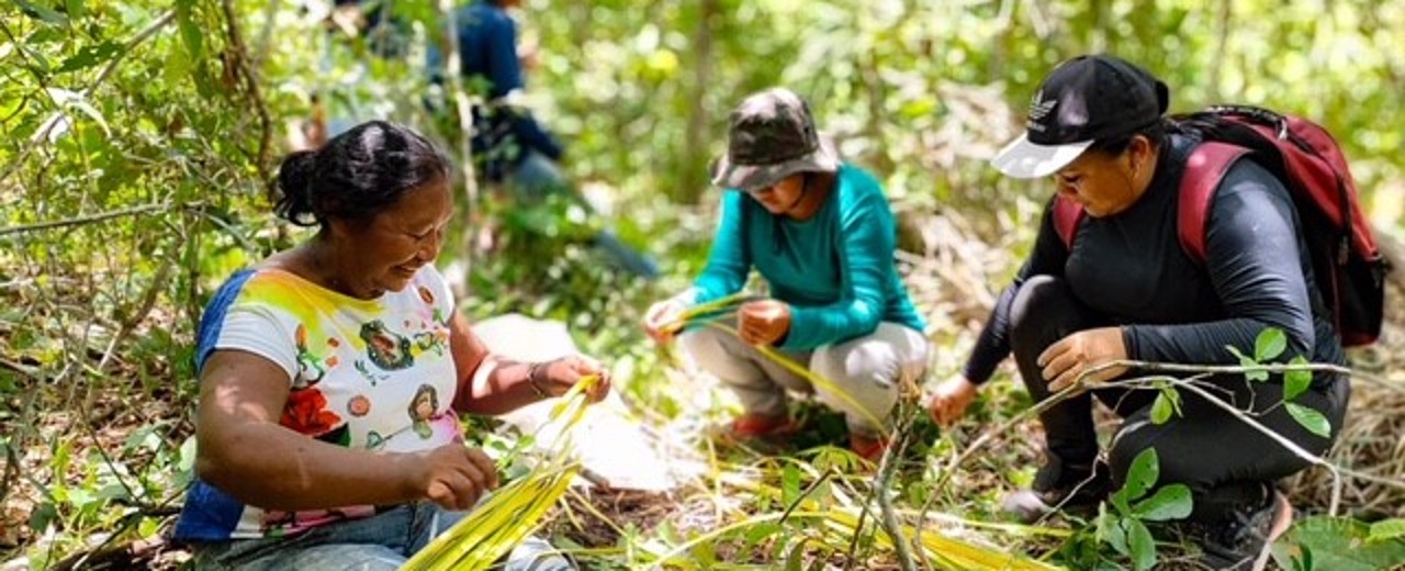 Three people sit in the forest and look at plants