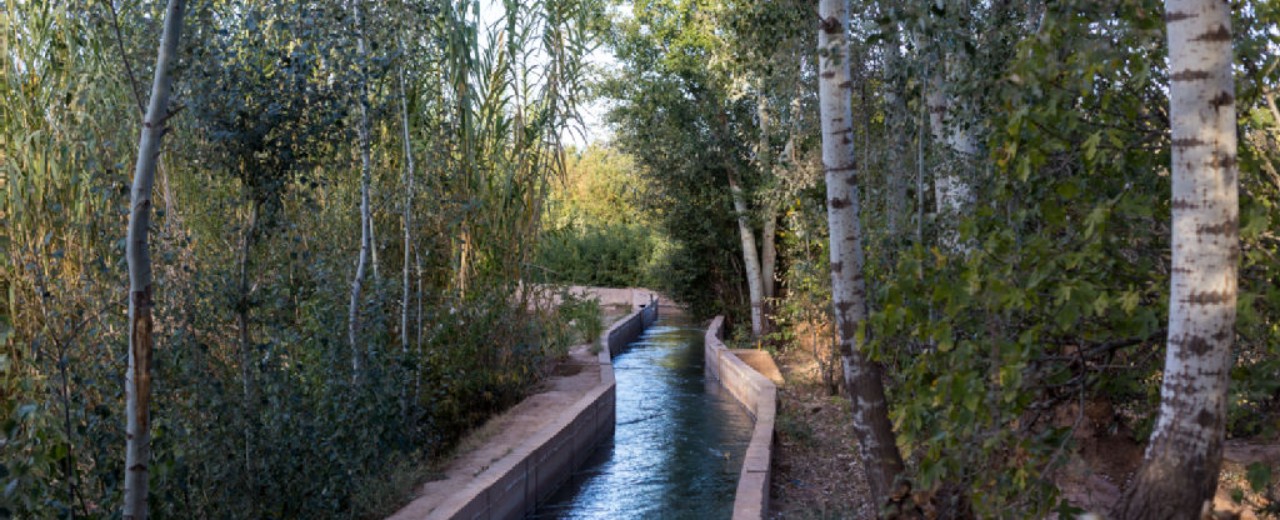 Ein Fluss mit Mauer, rechts und links Bäume