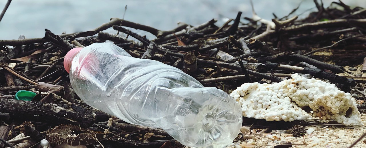 Eine Plastikflasche liegt an einem Strand