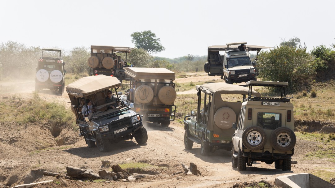 Viele Safari-Autos mit Touristen im Serengeti Park