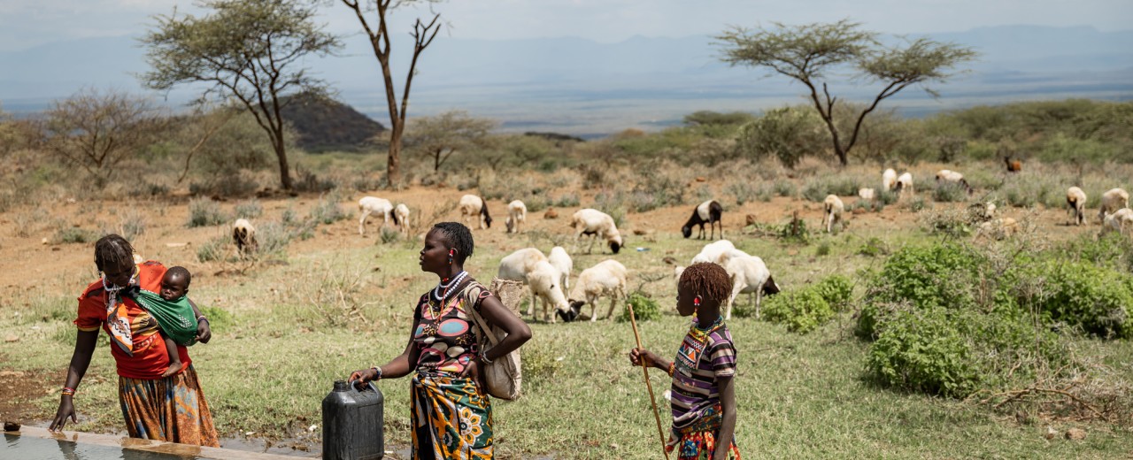 Herdsmen and herdswomen with their animals at the drinking troughs that were built as part of the test drilling. 