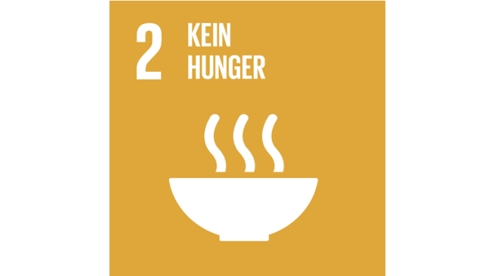 SDG logo