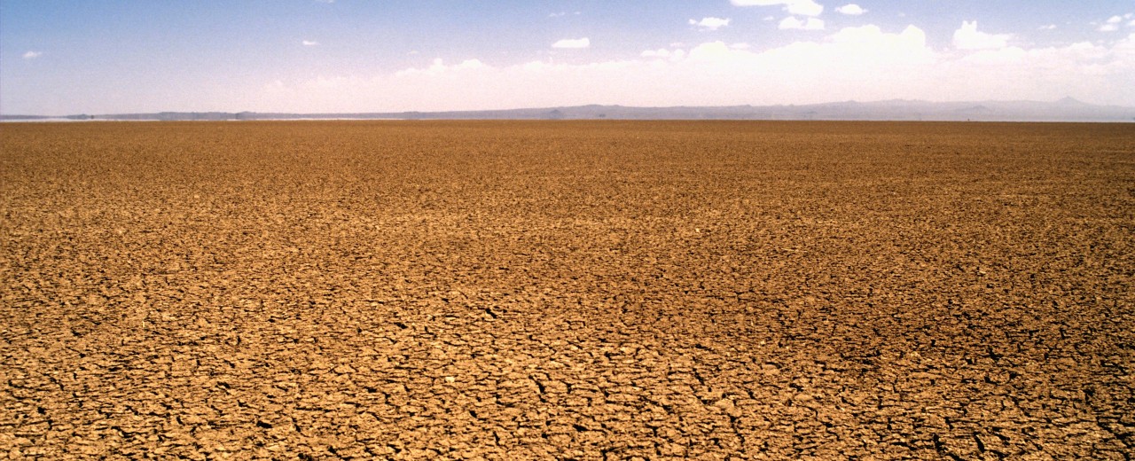 Desert landscape